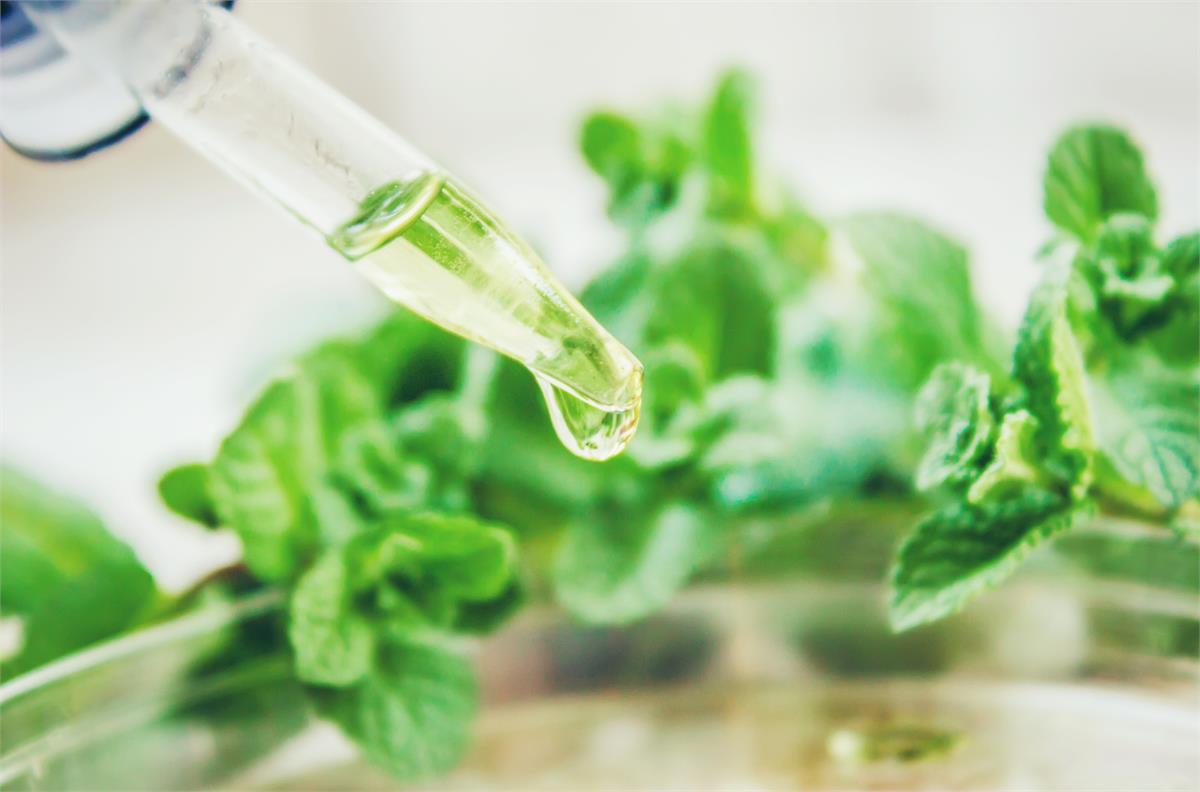 Plant extracts - Bars - Ingrizo Food Intelligence NV