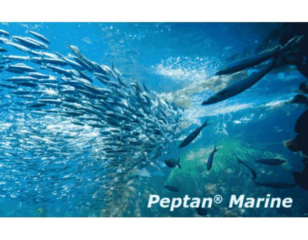 Peptan Marine Collagen Peptides