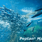 Peptan Marine Collagen Peptides